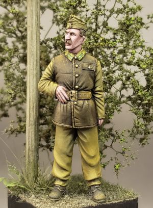 S2KW107 - Hungarian Tiger crewman